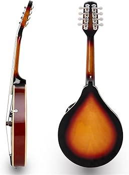 Amazon | マンドリン楽器 スタイル 8 弦マンドリン フラットバック